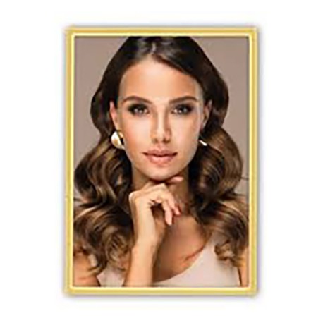 ZEP CORNICE SILVIA GOLD 15X20