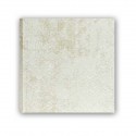 ZEP ALBUM CIPRO GREY