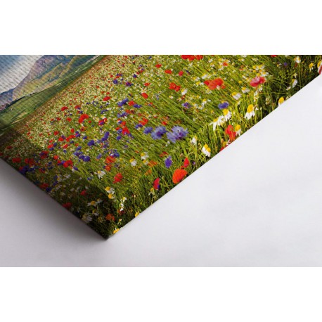 PLOTTER 30X45 TELA MONTATA 20 MM