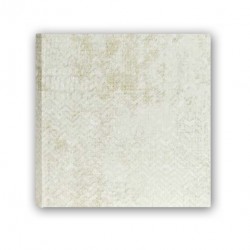 ZEP ALBUM CIPRO GREY