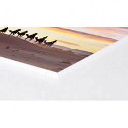 PANNELLO 70X100 FOREX 10MM (SUP.COTONE)