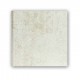 ZEP ALBUM CIPRO GREY