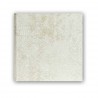 ZEP ALBUM CIPRO GREY