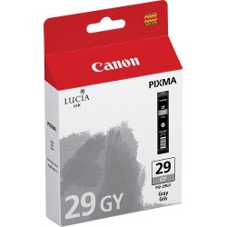 CANON CARTU. PIXMA PGI-29GY GREY