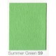 COLORAMA 2,72X11M SUMMER GREEN 59