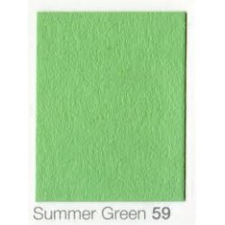 COLORAMA 2,72X11M SUMMER GREEN 59