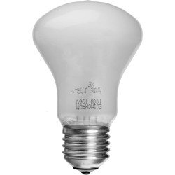 ELINCHROME LAMPADA PILOTA 100W 196V