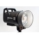 ELINCHROM 20960.1 FIVE FLASH BATTERIA