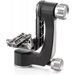 BENRO TESTA GIMBAL GH-2N