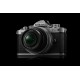NIKON Z fc KIT CON 16-50 VR SILVER + SD