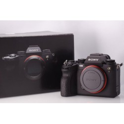 SONY ALPHA 1 SCATTI EFFETTUATI 9125