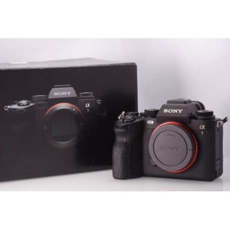 SONY ALPHA 1 SCATTI EFFETTUATI 9125