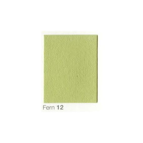 COLORAMA 2,72X11M FERN
