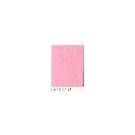 COLORAMA 2,72X11M CARNATION 21