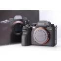 SONY ALPHA A1 BODY SCATTI EFF. 2579