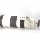 SONY FE 200-600MM F5,6-6,3 G OSS