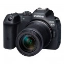 CANON EOS R7 + 18-150 F:3,5-6,3 IS STM