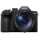 SONY DSC-RX10 V
