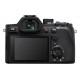 SONY DSC-RX10 V