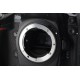 NIKON D2XS CORPO SCATTI EFF. 0017