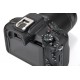 CANON EOS R50 + 18-150 3,5-6,3 IS STM