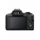 CANON EOS R100 + 18-45 ( KIT ZANARDELLI 2026 )
