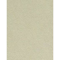 COLORAMA 2,72X11M PLATINUM 81