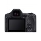 CANON EOS R5 MARK II BODY