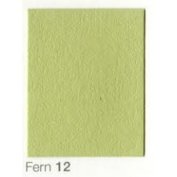 COLORAMA 2,72X11M FERN