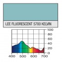 LEE FILTRO GELATINA 241 FLUORESCENT 5700